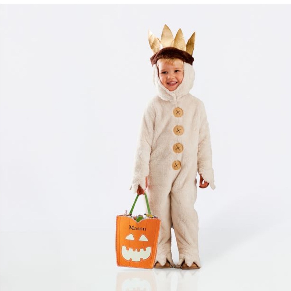 Pottery Barn Max Costume - Where the wild things are 12-24 months